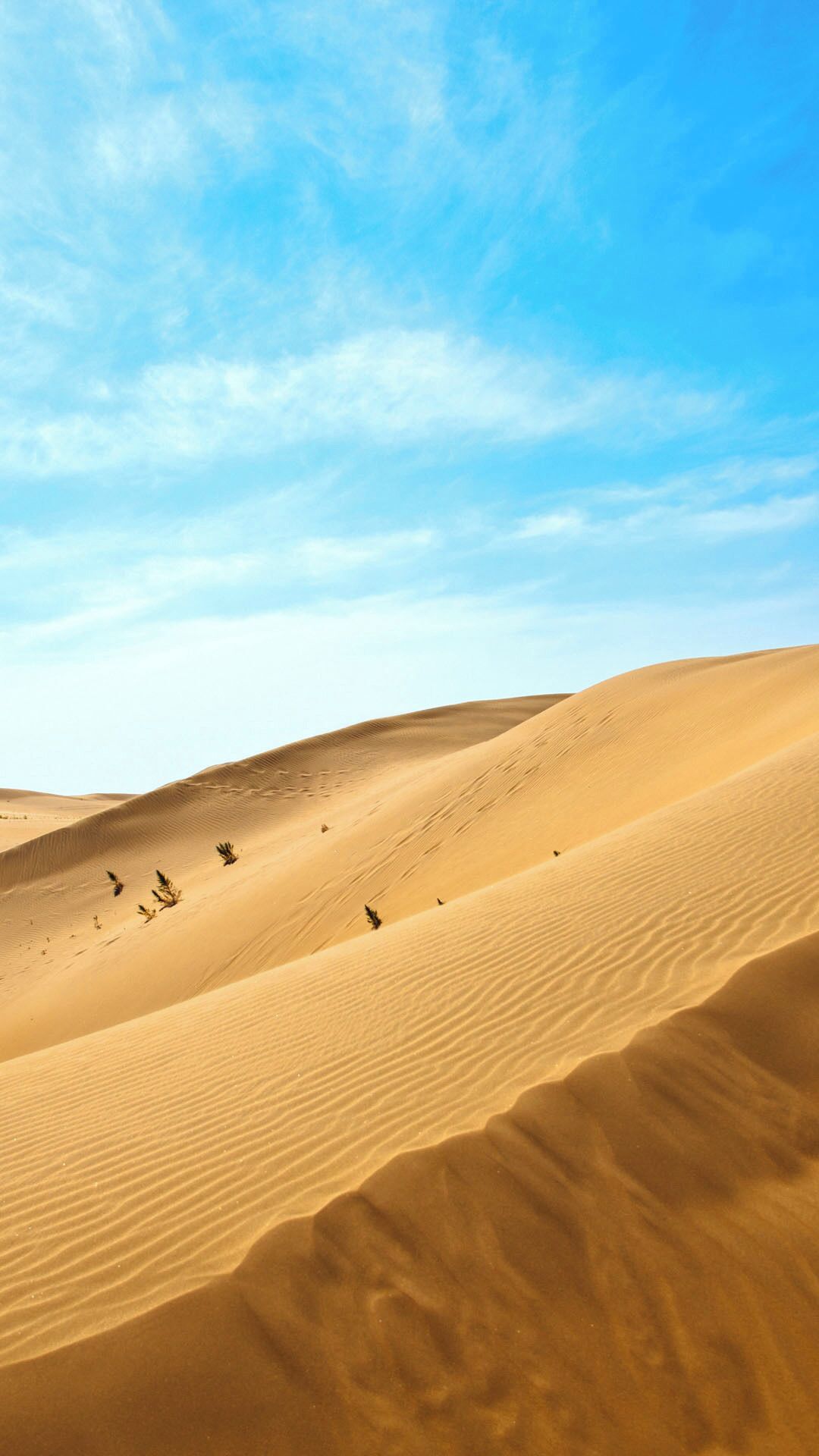 Paisagem desértica com dunas de areia sob um céu claro.