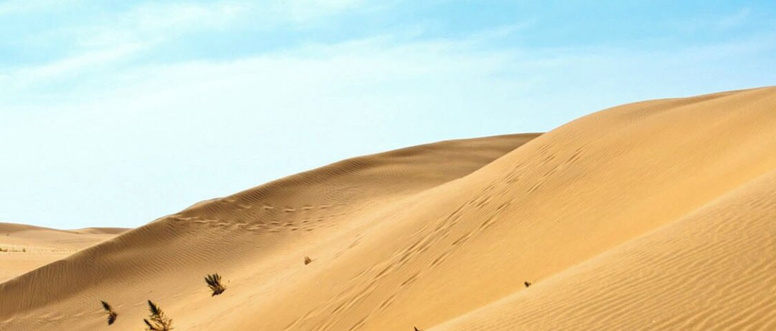 Paisagem desértica com dunas de areia sob um céu claro.