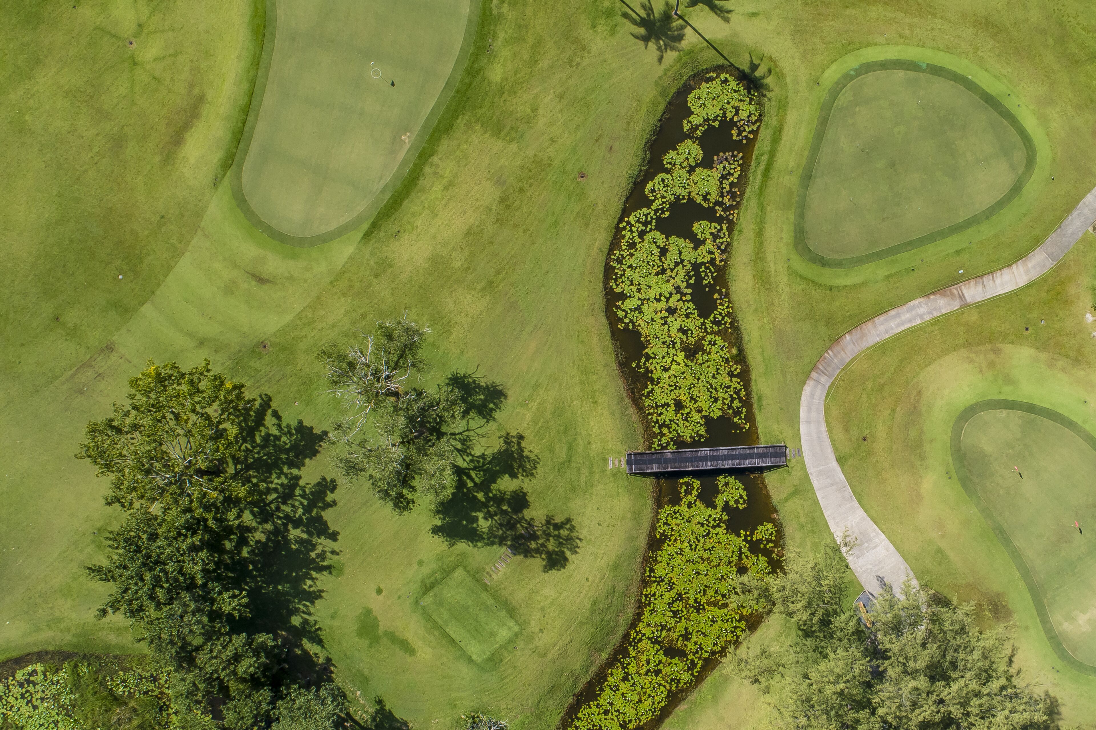 Golf course birds eye view of fairway golfing green sand pits lawn road house path no people copy space