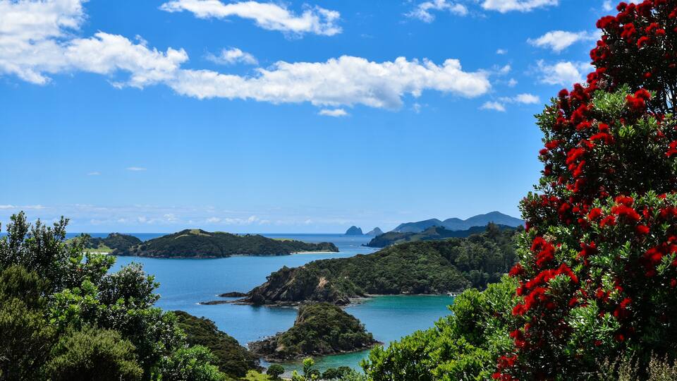 A coastal landscape with clear blue waters, green hills, and red flowers.