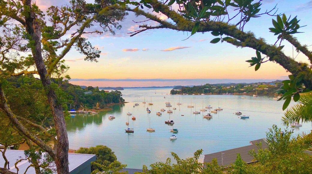 Looking down onto the harbor next to the Opua Ferry Terminal after taking the car ferry from Okiato