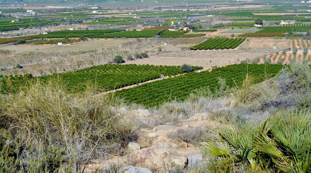 This image was uploaded as part of Wiki Loves Monuments 2017.