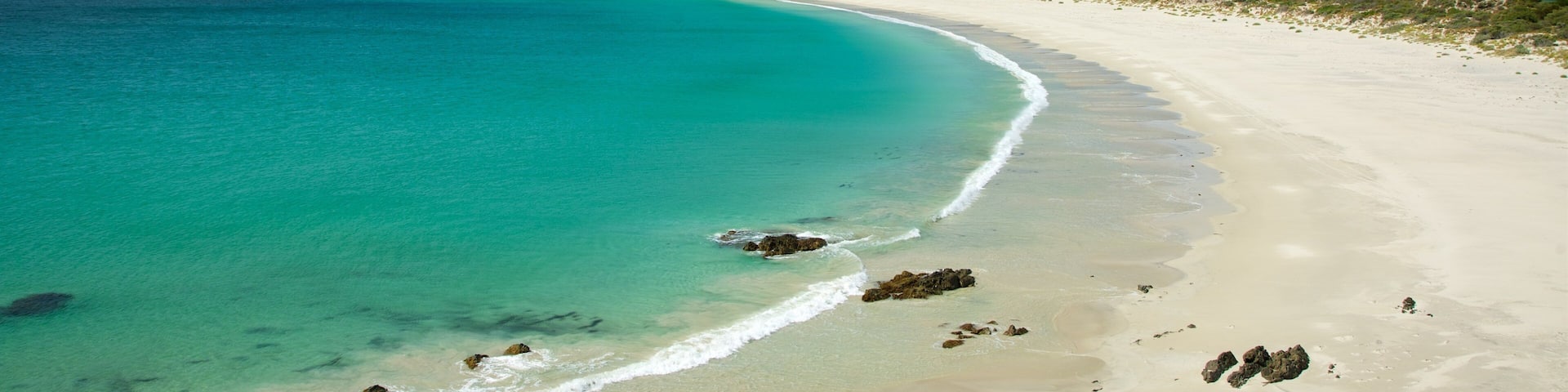 カンガルー アイランド