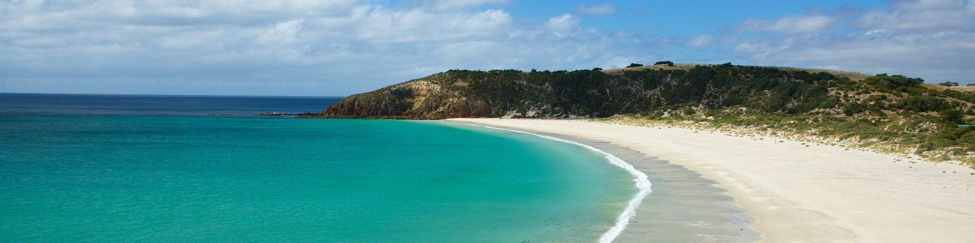 Isla Canguro ofreciendo una playa de arena y vista general a la costa