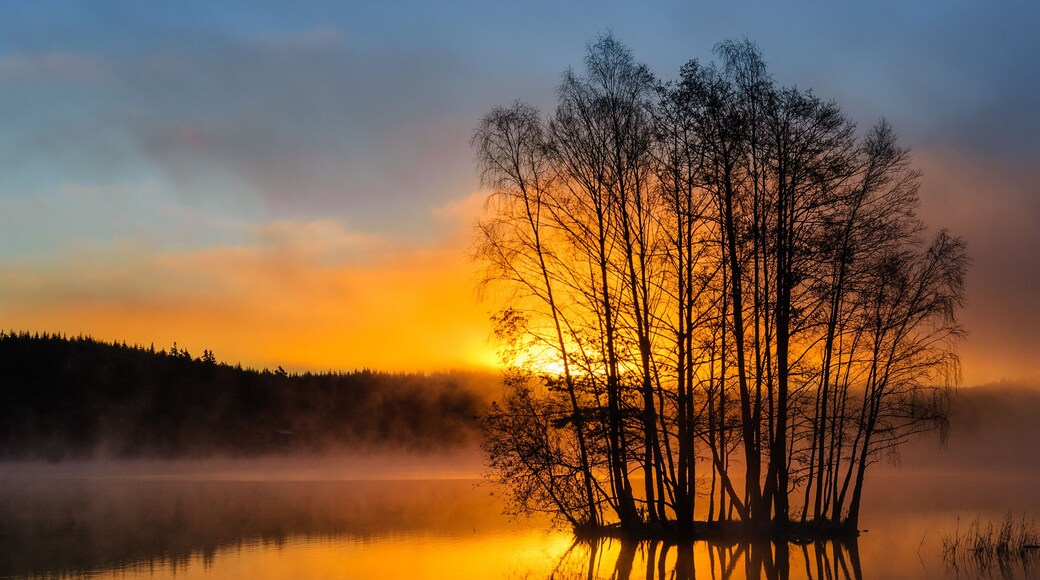 Sun shining through lake island at sunrise