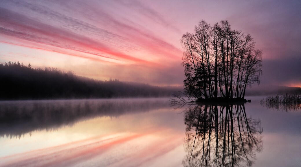 Sunrise over Lake Finnsjön with a little island with trees. Mölnlycke, Sweden.