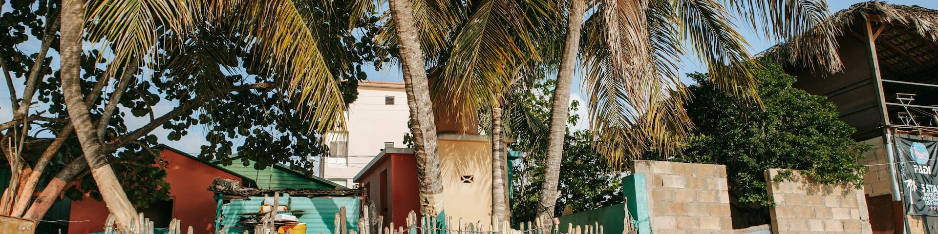 Bayahíbe showing tropical scenes and a sandy beach