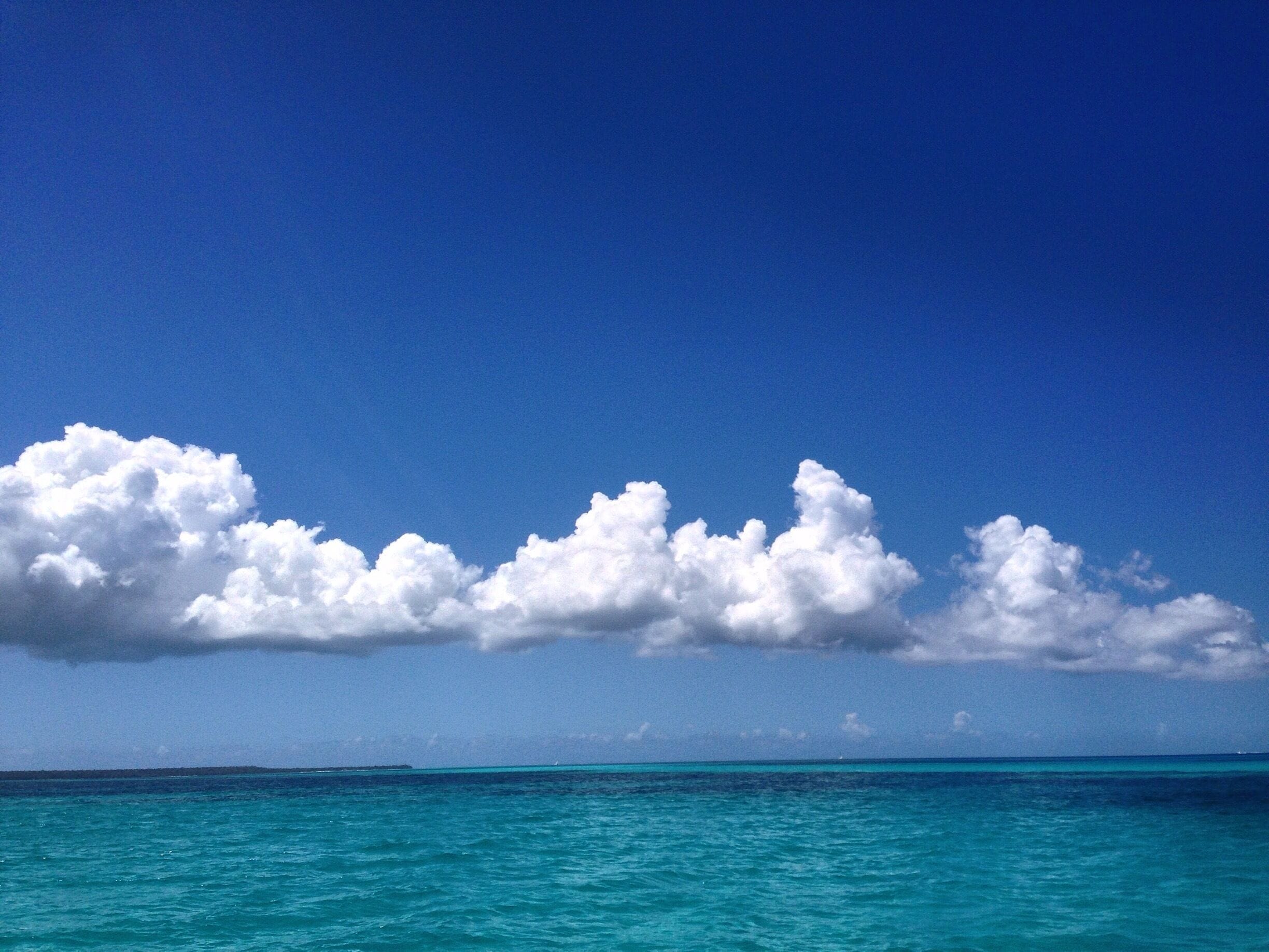Diving the Dominican Republic. #DR #bayahibe #nofilter #hochlife