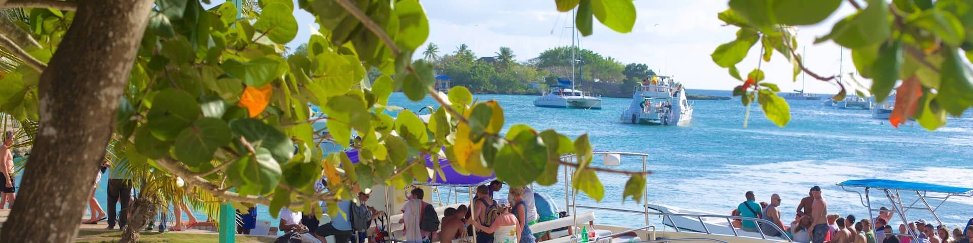 A beach with a boat named "RANNASUN" docked at the shore, surrounded by palm trees and other boats in the background.