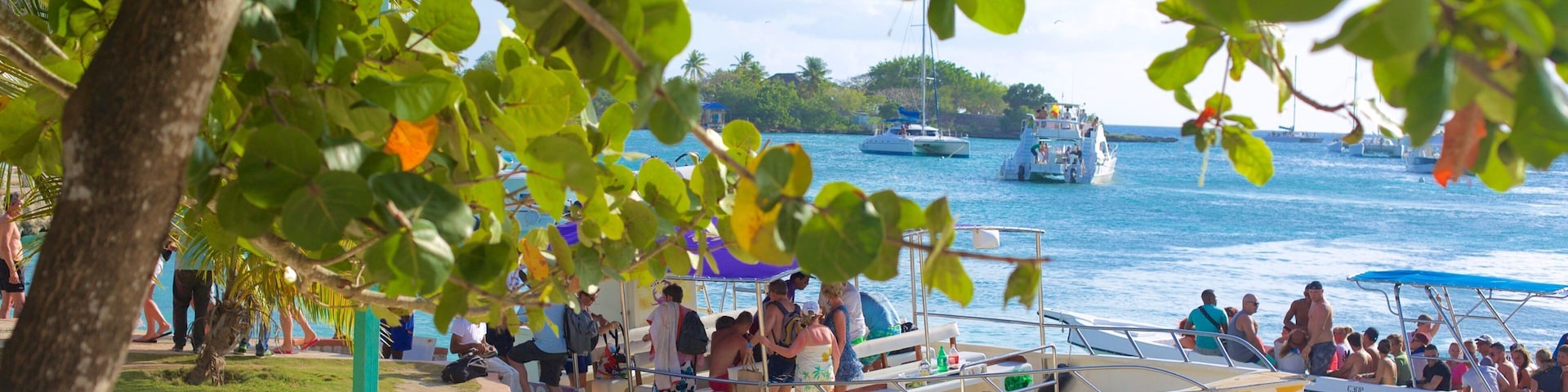 Bayahíbe showing boating and a sandy beach
