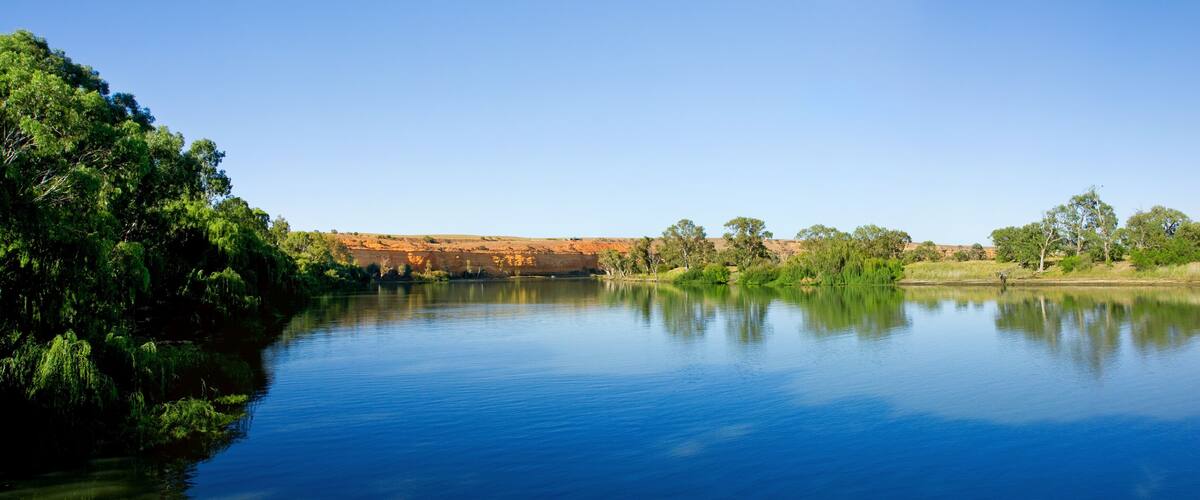 Murray River Panoramic