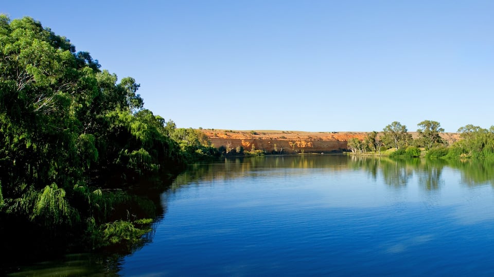 Murray River Panoramic