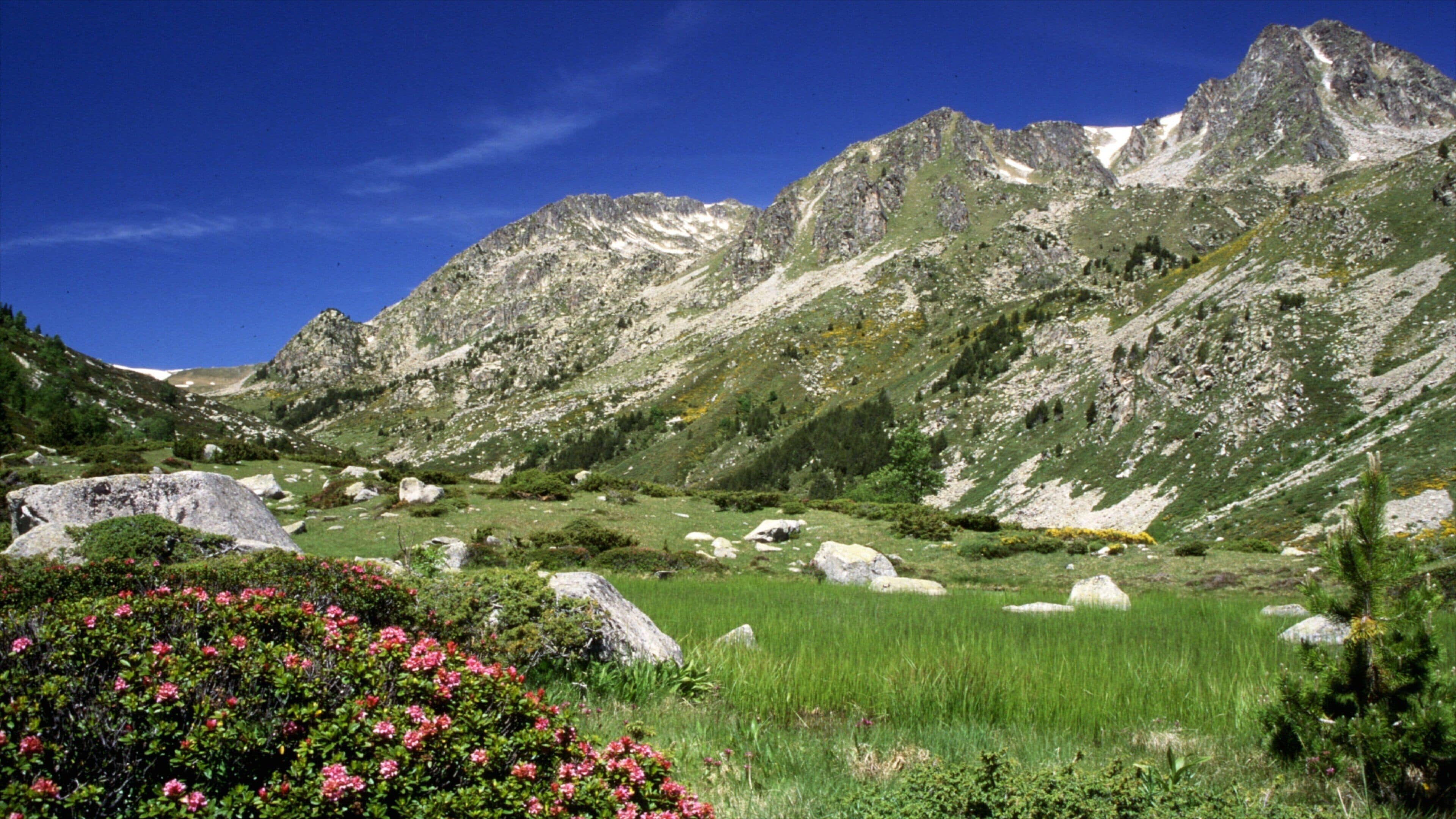 Font-Romeu-Odeillo-Via showing mountains
