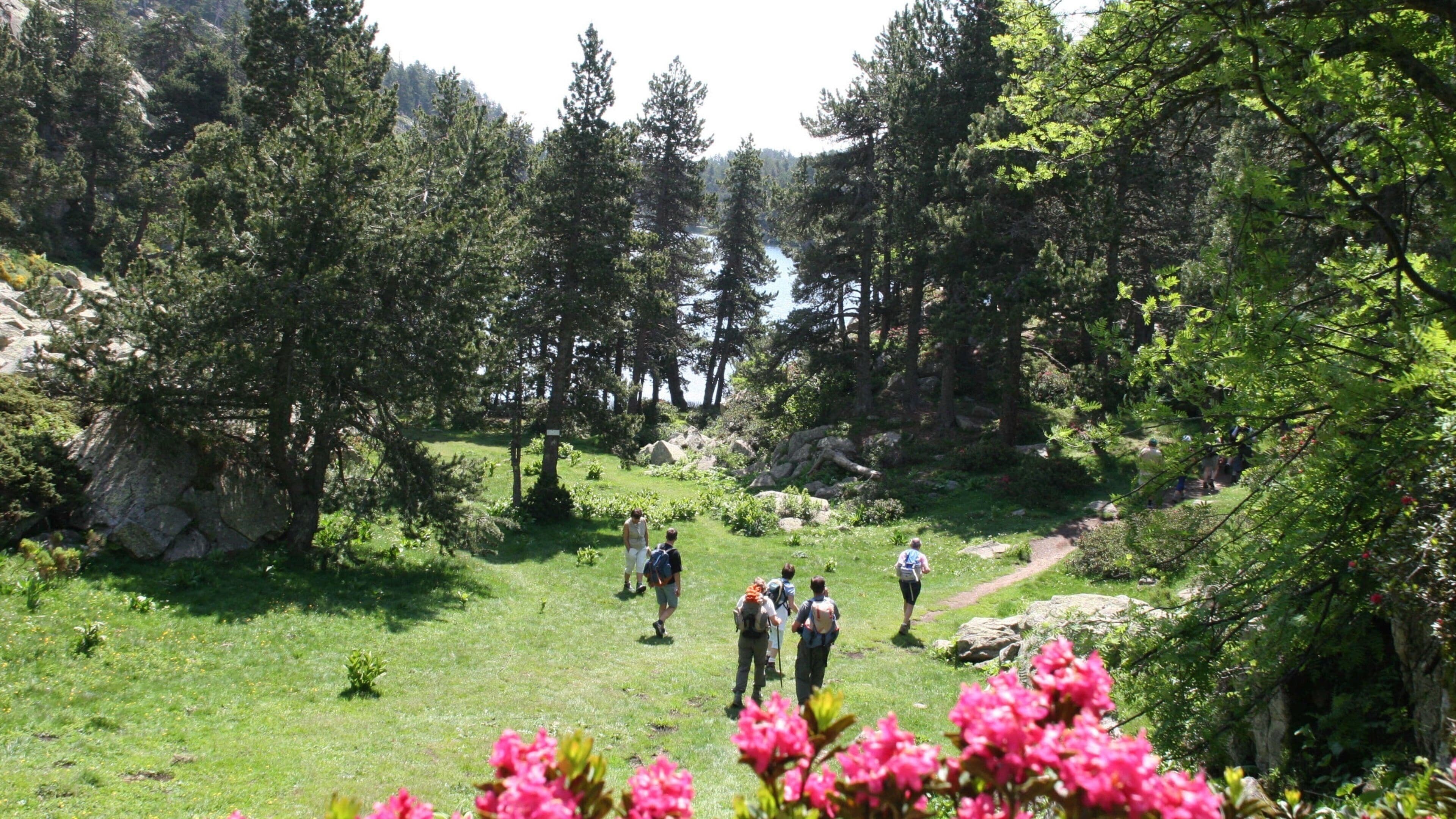 Font-Romeu-Odeillo-Via ofreciendo senderismo o caminata y un parque