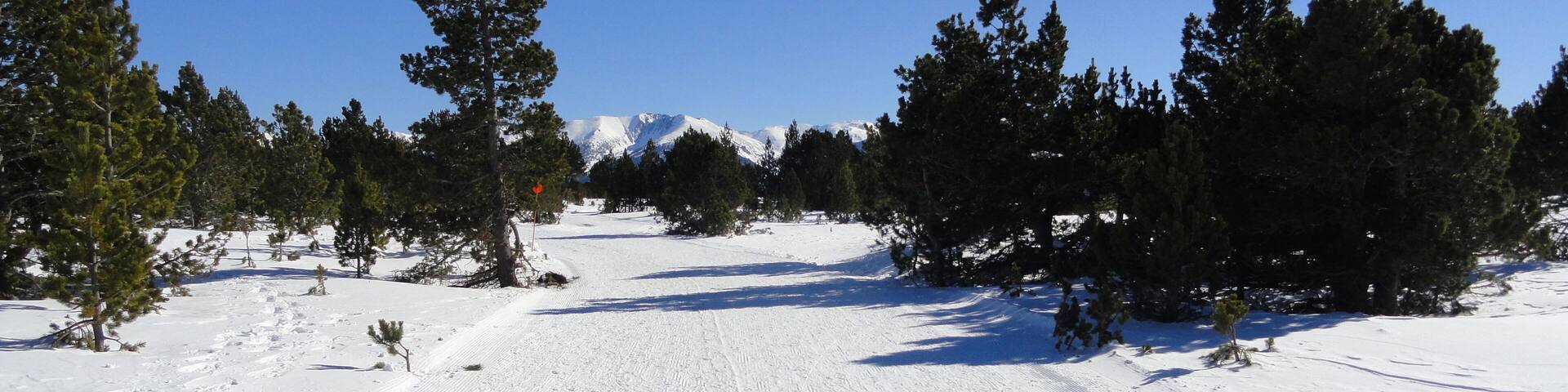 A snowy ski slope with trees and a clear blue sky.