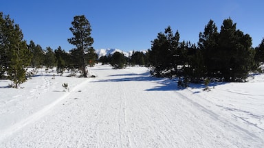 Una pista de esquí nevada con árboles y un cielo azul despejado.