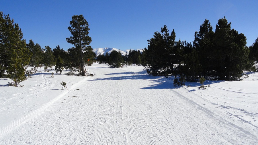 Una pista de esquí nevada con árboles y un cielo azul despejado.
