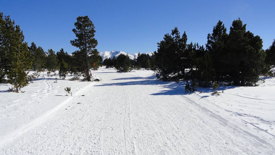 Plateau de la Calme à Font-Romeu (Pyrénées Orientales)