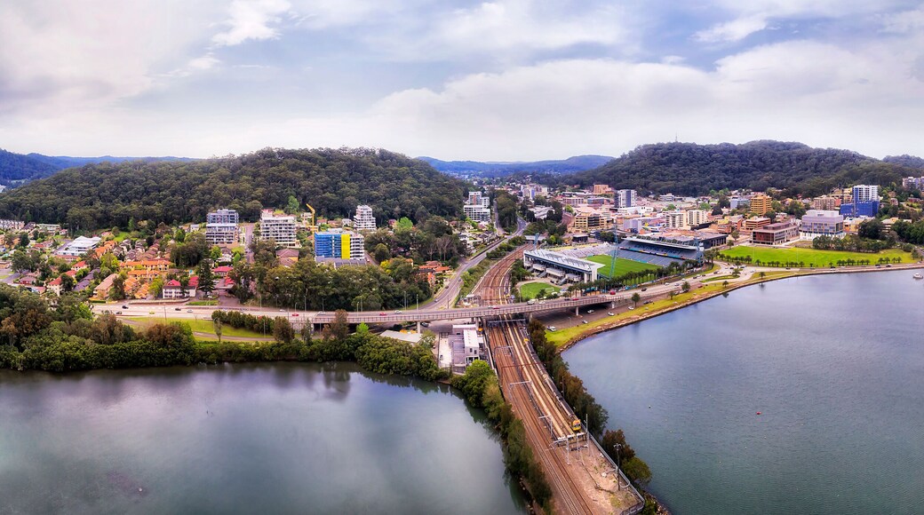 ويست غوسفورد