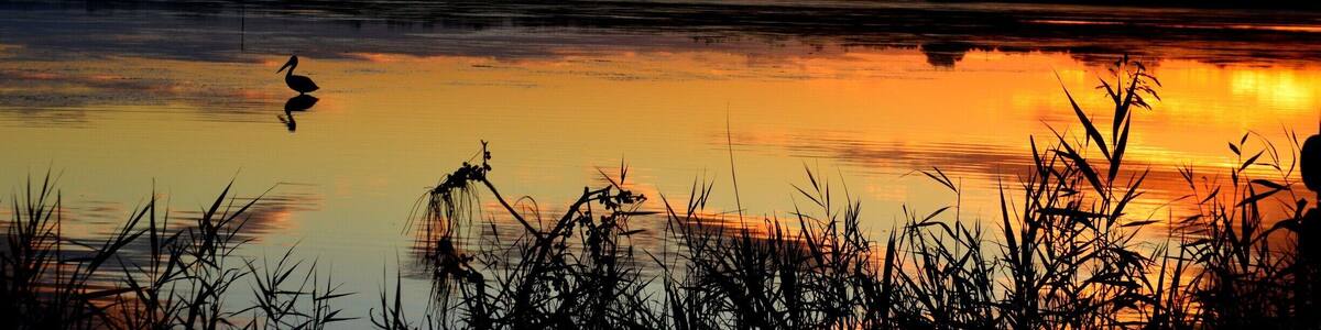 Good morning sunshine!
Taken on the Tuggerah Lake side near Pelican Wharf. What a beautiful morning to wake too..