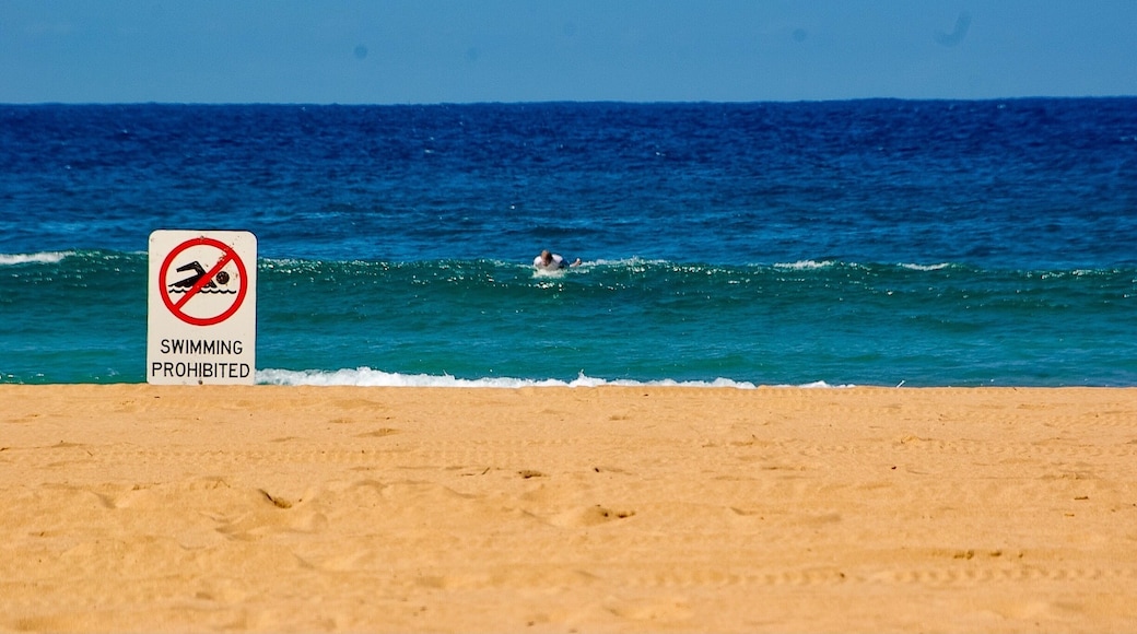 Not recommended for swimmers. Surfers proceed with caution.