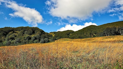 Vista verso il Monte Foppo