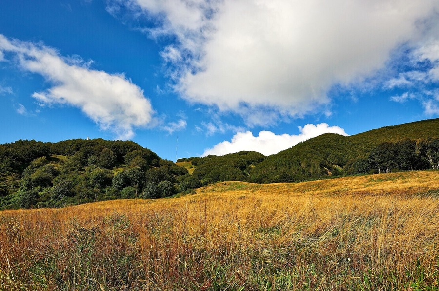 Vista verso il Monte Foppo