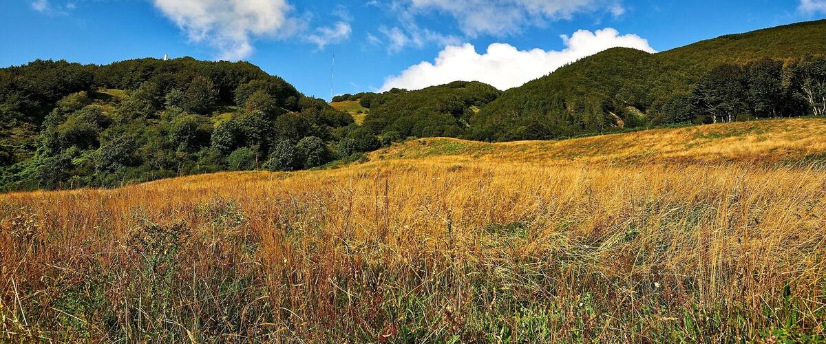 A grassy field with a hill in the background and a clear blue sky with clouds.