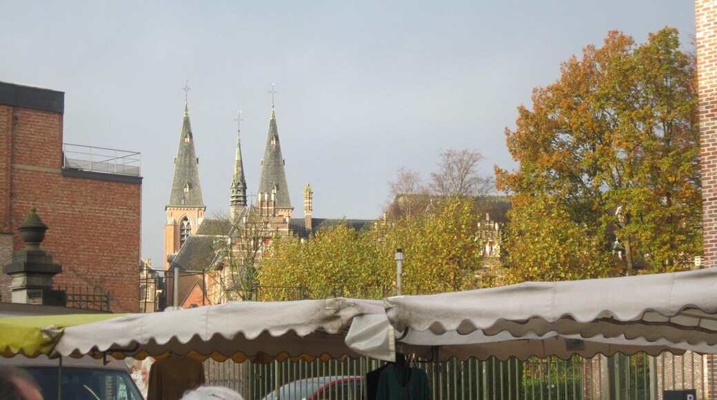 Oude vest tijdens de mark, zicht van de Abdij torens