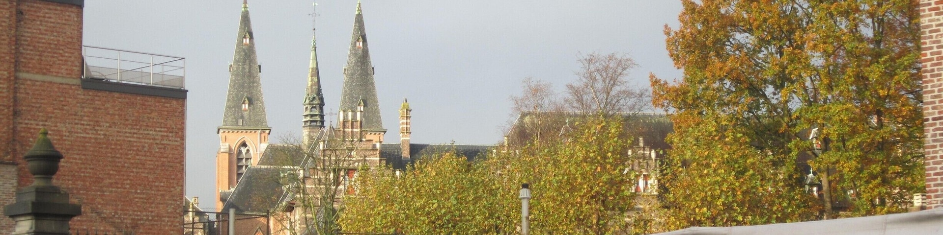 Oude vest tijdens de mark, zicht van de Abdij torens