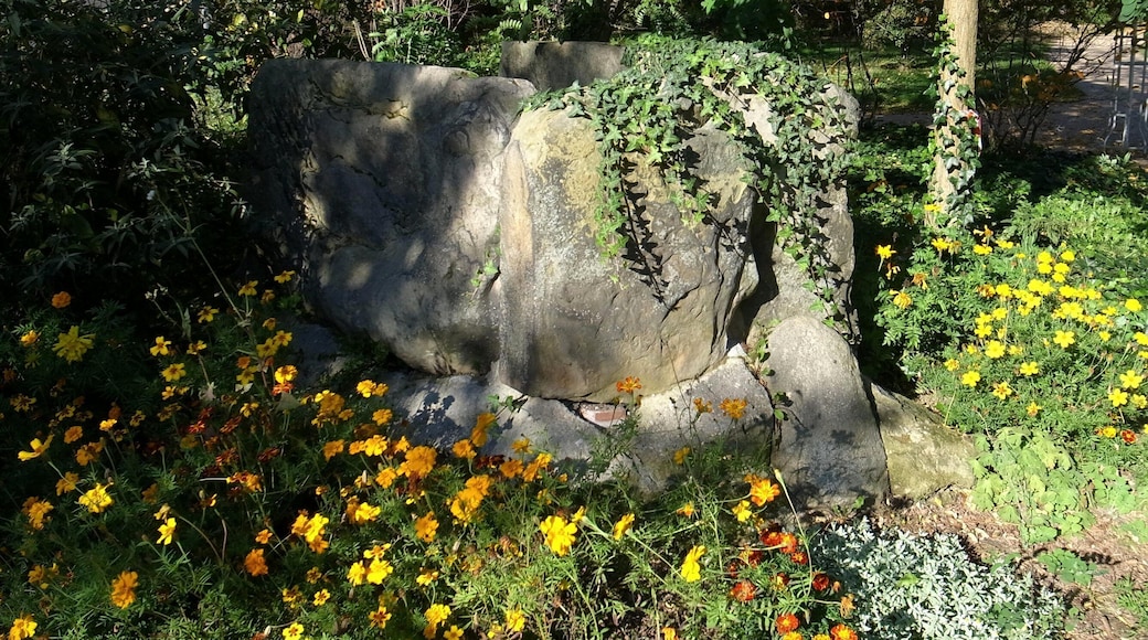 Köthen, Steinkiste Plömnitz, Grabmal im Schlosspark. Wiederaufgebautes Steinkistengrab, Originalstandort war in Plömnitz.
