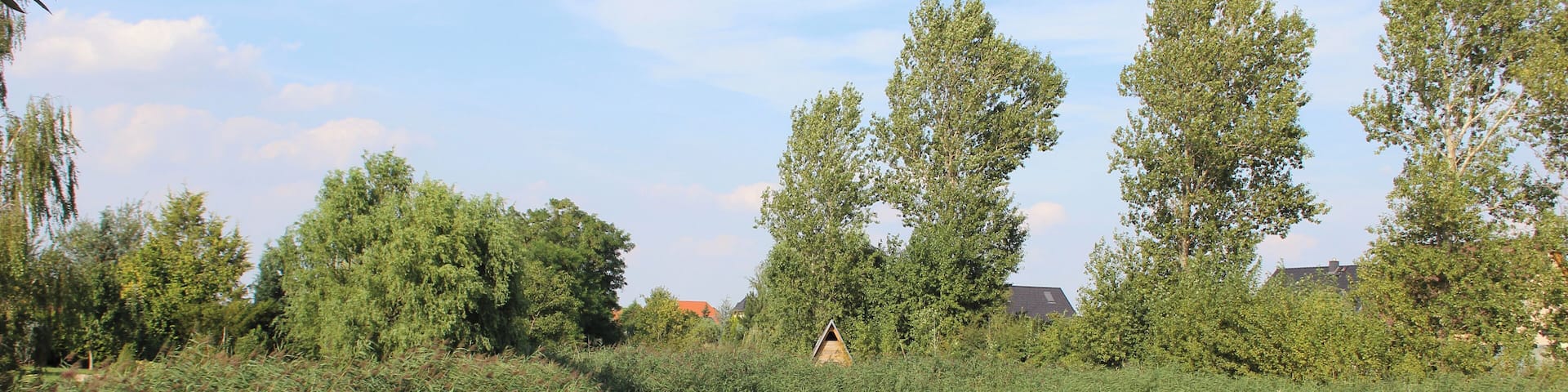 Großwülknitz ist ein Dorf in Sachsen-Anhalt, Deutschland.