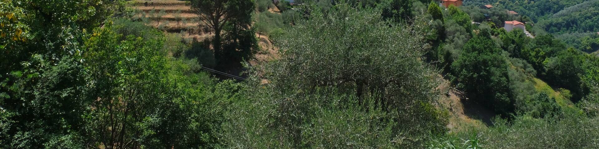 Panorama da Leivi in provincia di Genova, Liguria, Italia.