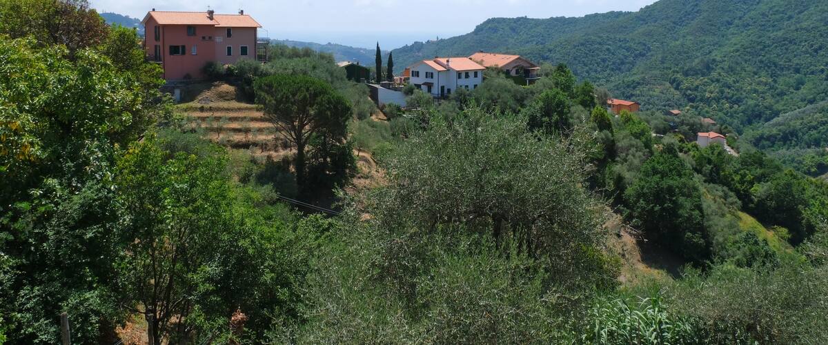 A hillside village with terraced fields and traditional houses.