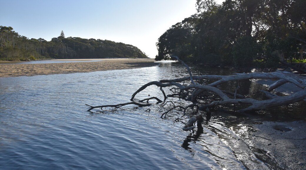 ์ฌํ์ด์ด ๋น์น