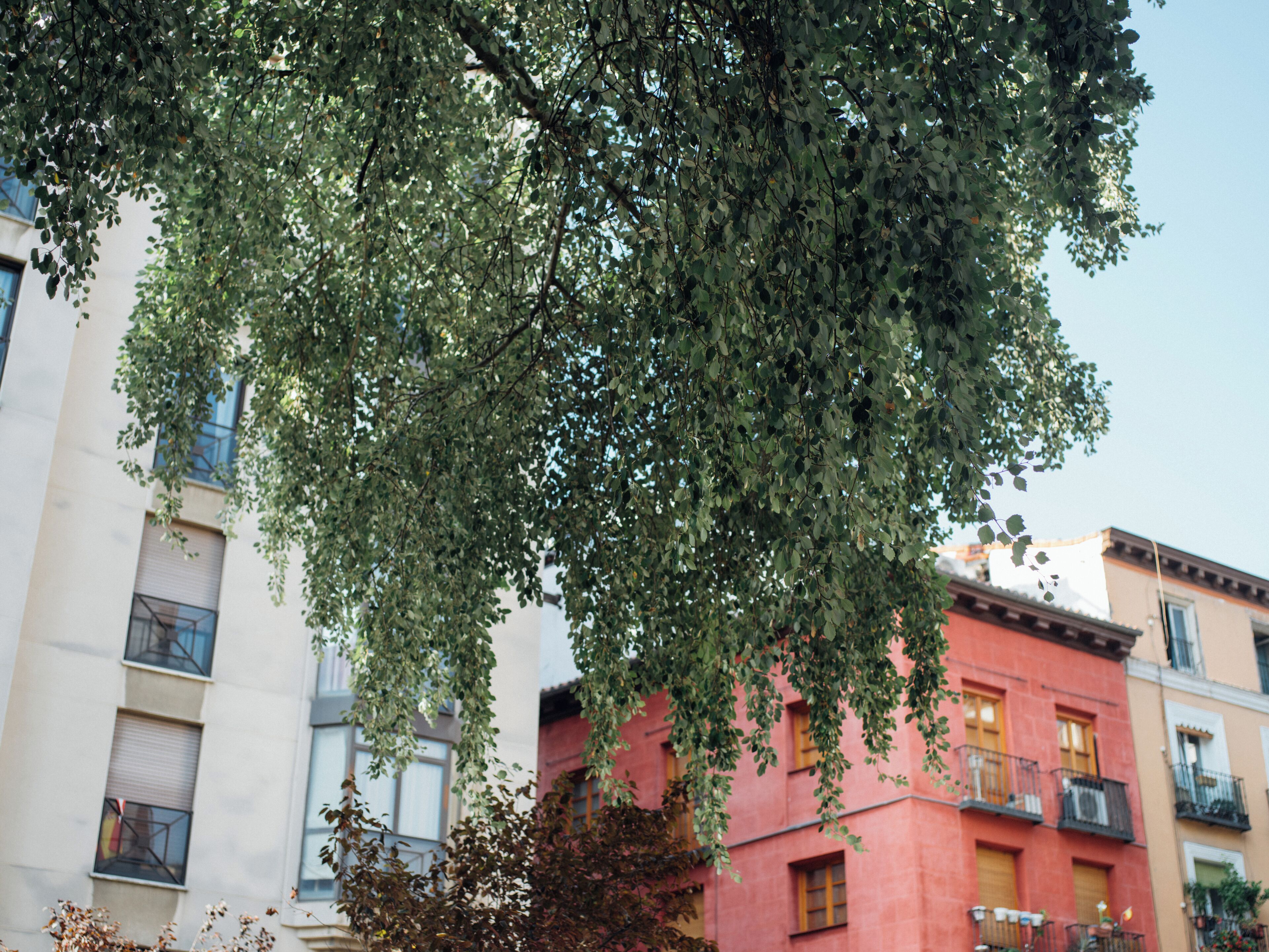 EyeEm Custom Shoots Q4 2018