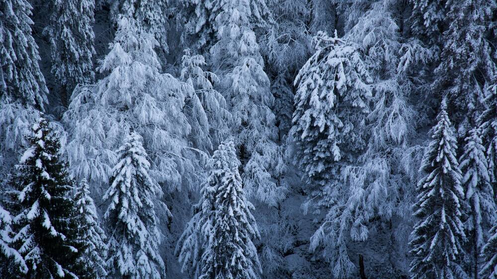 landscapes of cold and frost on the mountains