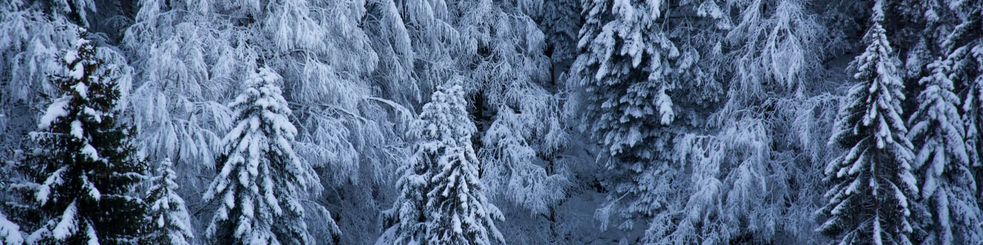 landscapes of cold and frost on the mountains