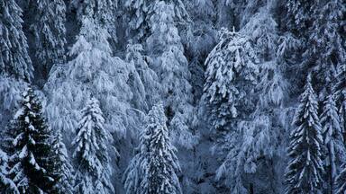 landscapes of cold and frost on the mountains