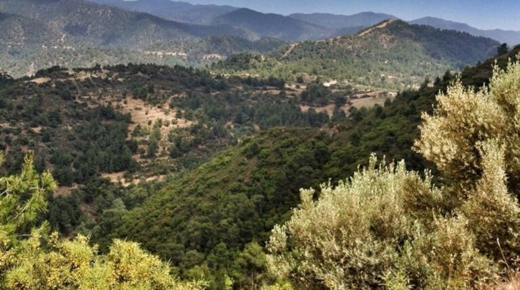 Beautiful scenery around the village of Lysos, Cyprus