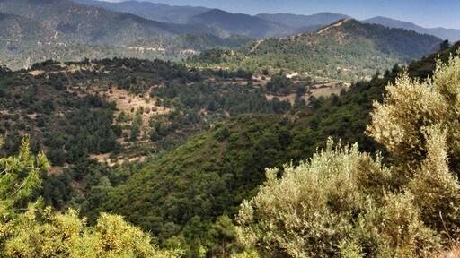 Beautiful scenery around the village of Lysos, Cyprus