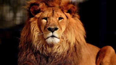 Great place to view animals, compact and well laid out with a large variety of animals.