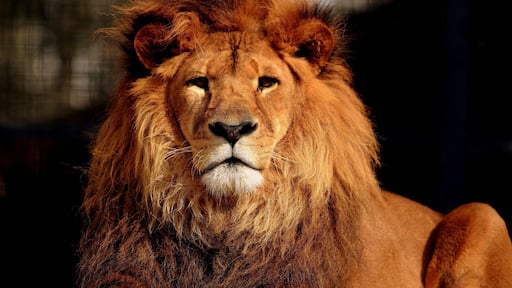 Great place to view animals, compact and well laid out with a large variety of animals.