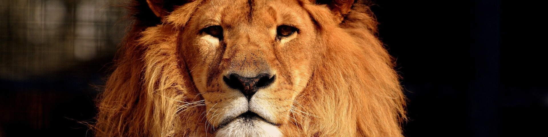 Great place to view animals, compact and well laid out with a large variety of animals.