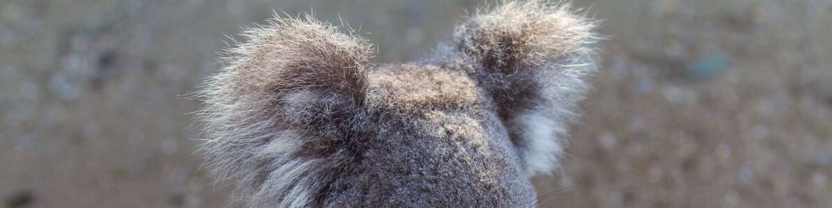 Such a great Zoo in the Hunter Valley😊💫