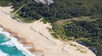 I recently took to the air to fly over my beautiful hometown, Newcastle 🚁 I love where I am from but oh my goodness seeing it from above made me fall in love with it even more!