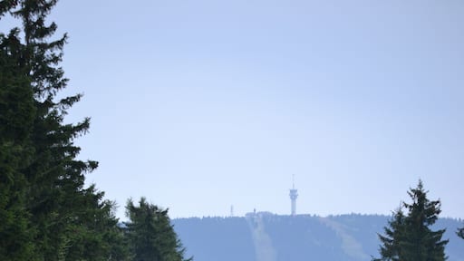 Gleis der Bahnstrecke Chomutov–Vejprty/Reitzenhain zwischen Kovářská und Kovářská městys, Blick Richtung Kovářská. Im Bildhintergrund der Gipfel des Klínovec.