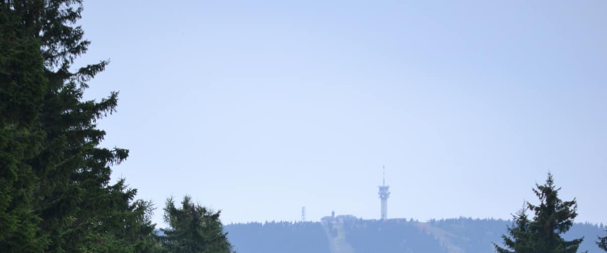 A railway track surrounded by dense forest and a distant tower.