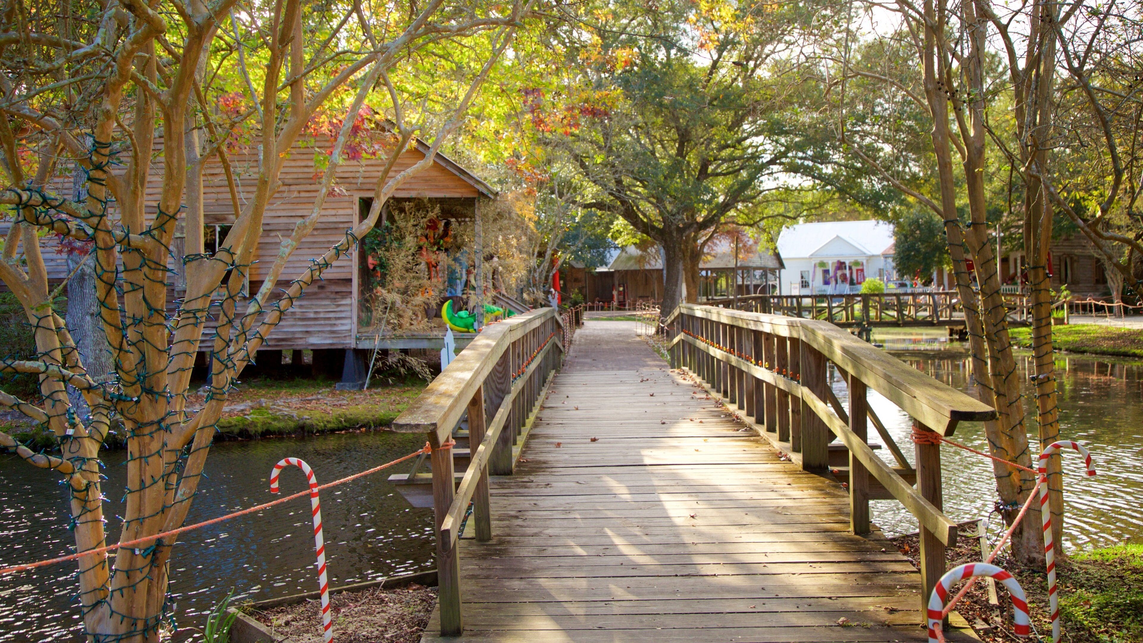 Acadian Village featuring a bridge and a pond