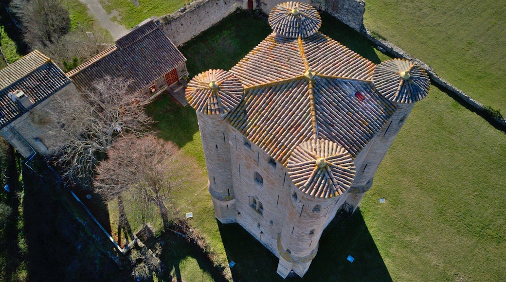 Castillo de Arques en Francia